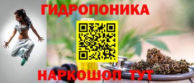 стаф Гусиноозёрск