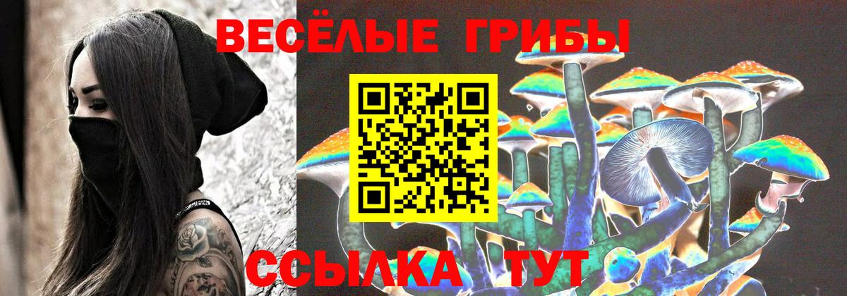 Псилоцибиновые грибы Psilocybe Лосино-Петровский